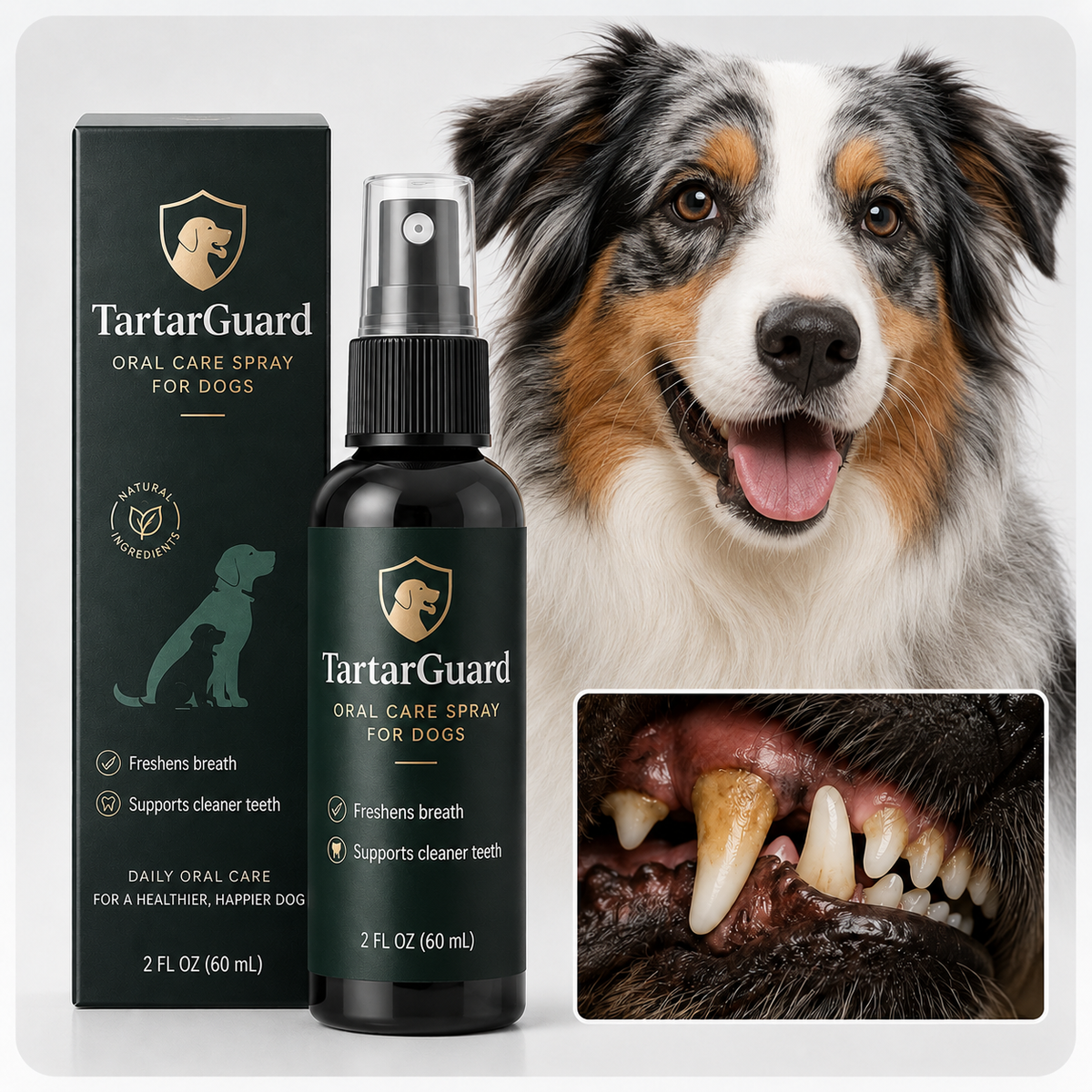 Dog receiving everyday oral care